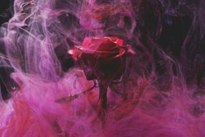 encrassement du moteur symbolisé par une image de rose dans la fumée