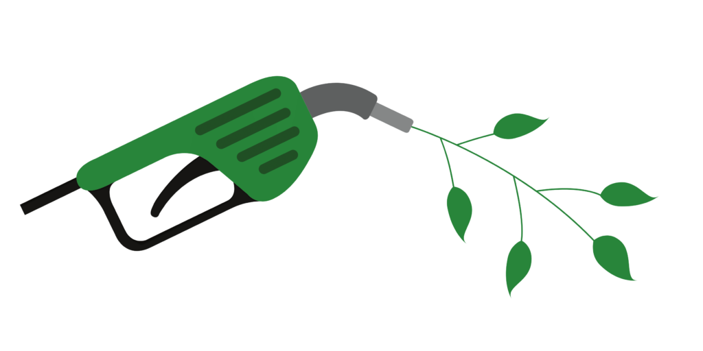 bioethanol une gâchette se transforme en arbre vert
