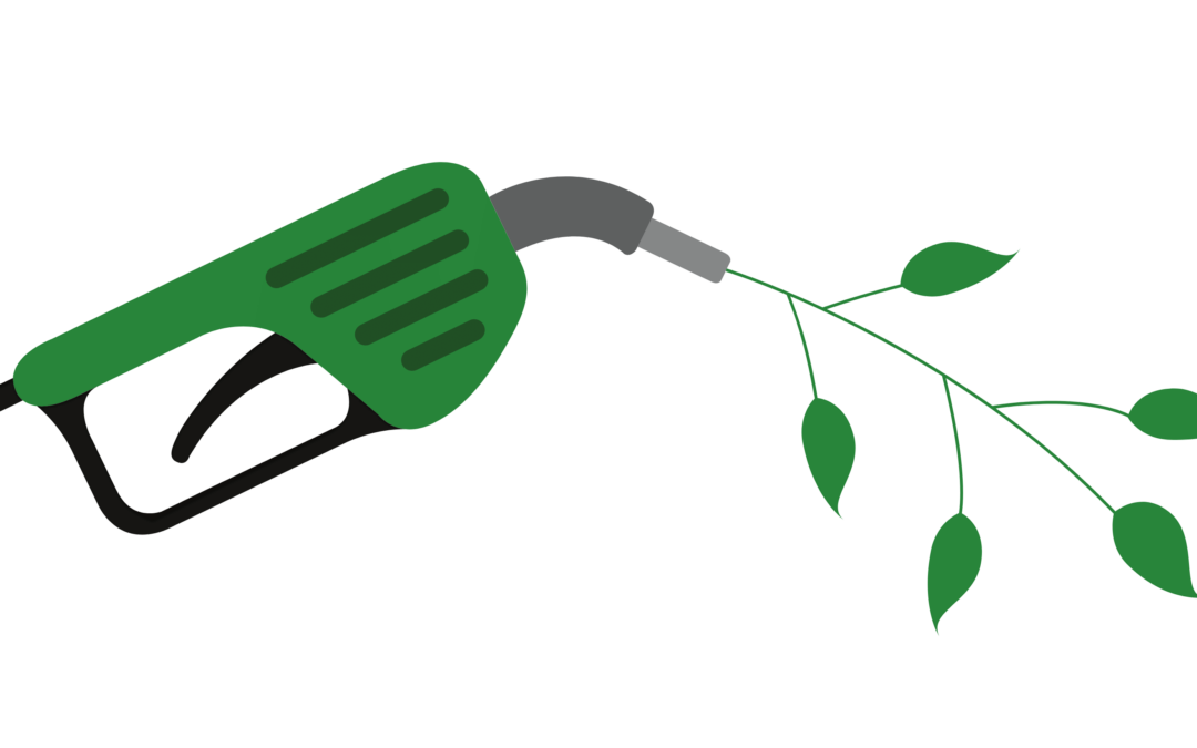 Qu’est-ce que le bioethanol ?